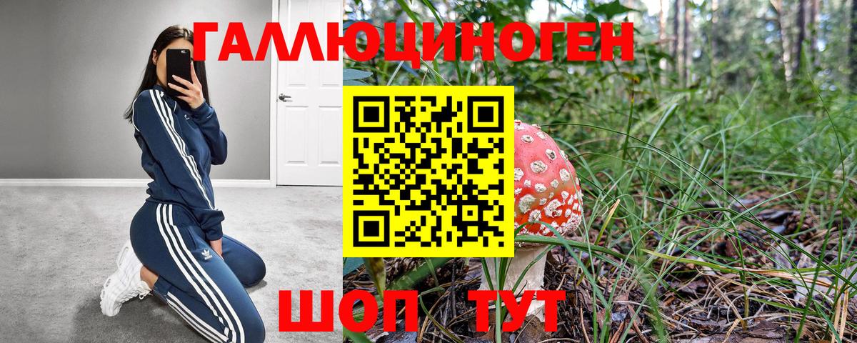 Галлюциногенные грибы мицелий  Вход с VPN  Псилоцибиновые грибы Cubensis  Копейск 